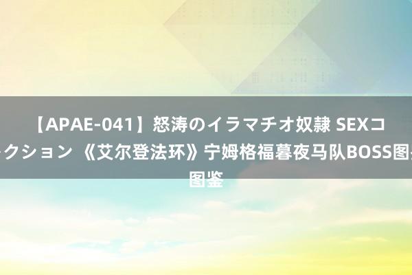 【APAE-041】怒涛のイラマチオ奴隷 SEXコレクション 《艾尔登法环》宁姆格福暮夜马队BOSS图鉴