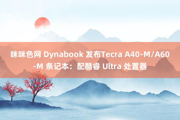 咪咪色网 Dynabook 发布Tecra A40-M/A60-M 条记本：配酷睿 Ultra 处置器