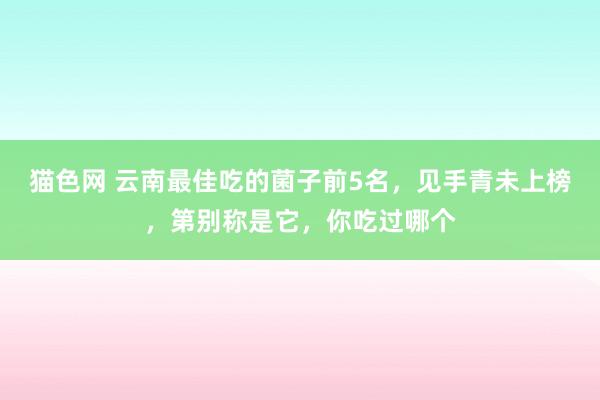 猫色网 云南最佳吃的菌子前5名，见手青未上榜，第别称是它，你吃过哪个