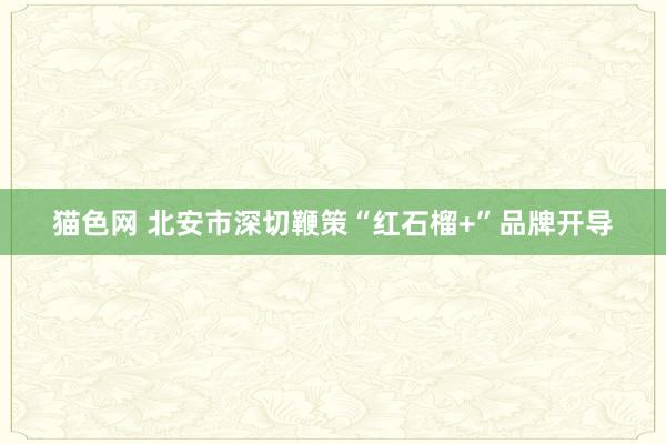 猫色网 北安市深切鞭策“红石榴+”品牌开导