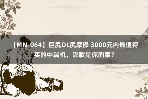 【MN-064】巨尻OL尻摩擦 3000元内最值得买的中端机，哪款是你的菜？