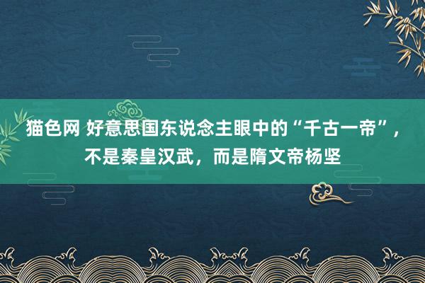 猫色网 好意思国东说念主眼中的“千古一帝”，不是秦皇汉武，而是隋文帝杨坚