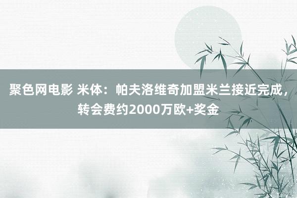 聚色网电影 米体：帕夫洛维奇加盟米兰接近完成，转会费约2000万欧+奖金