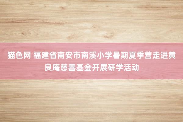 猫色网 福建省南安市南溪小学暑期夏季营走进黄良庵慈善基金开展研学活动