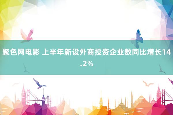 聚色网电影 上半年新设外商投资企业数同比增长14.2%