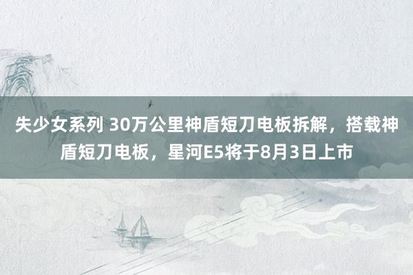 失少女系列 30万公里神盾短刀电板拆解，搭载神盾短刀电板，星河E5将于8月3日上市