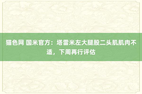 猫色网 国米官方：塔雷米左大腿股二头肌肌肉不适，下周再行评估