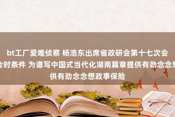 bt工厂爱唯侦察 杨浩东出席省政研会第十七次会员代表大会时条件 为谱写中国式当代化湖南篇章提供有劲念念想政事保险