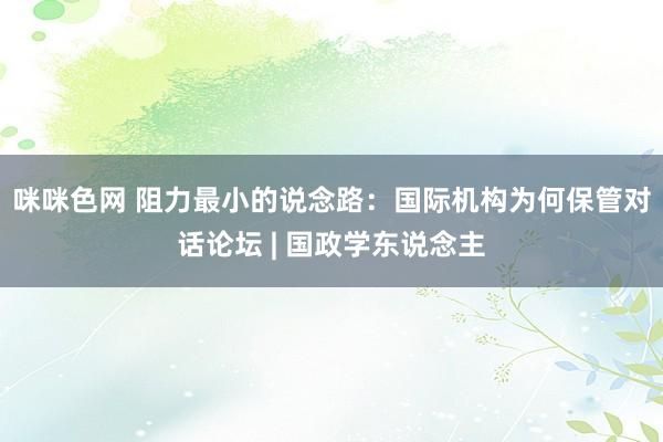 咪咪色网 阻力最小的说念路：国际机构为何保管对话论坛 | 国政学东说念主