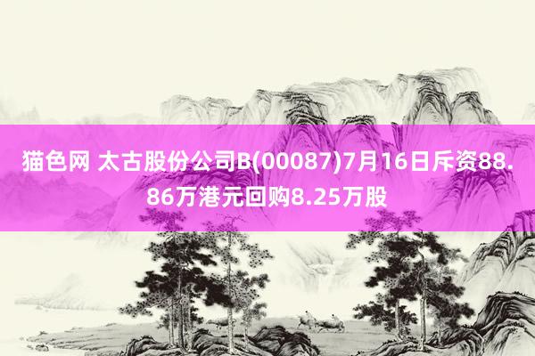 猫色网 太古股份公司B(00087)7月16日斥资88.86万港元回购8.25万股