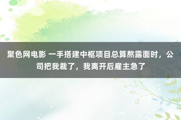 聚色网电影 一手搭建中枢项目总算熬露面时，公司把我裁了，我离开后雇主急了