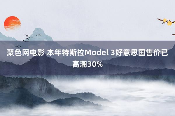 聚色网电影 本年特斯拉Model 3好意思国售价已高潮30%