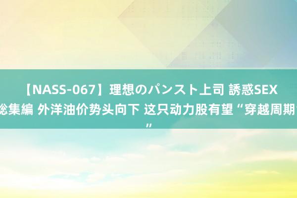 【NASS-067】理想のパンスト上司 誘惑SEX総集編 外洋油价势头向下 这只动力股有望“穿越周期”