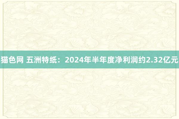 猫色网 五洲特纸：2024年半年度净利润约2.32亿元