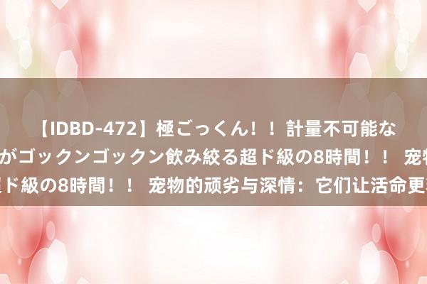 【IDBD-472】極ごっくん！！計量不可能な爆量ザーメンをS級女優がゴックンゴックン飲み絞る超ド級の8時間！！ 宠物的顽劣与深情：它们让活命更精彩