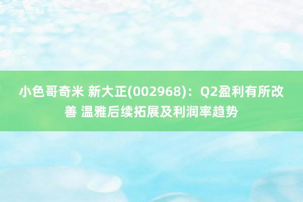 小色哥奇米 新大正(002968)：Q2盈利有所改善 温雅后续拓展及利润率趋势