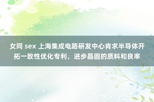 女同 sex 上海集成电路研发中心肯求半导体开拓一致性优化专利，进步晶圆的质料和良率