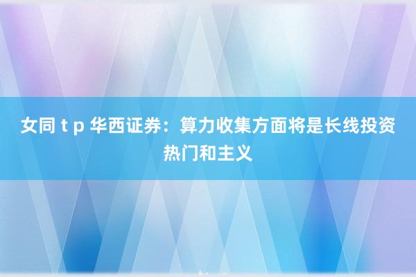 女同 t p 华西证券：算力收集方面将是长线投资热门和主义