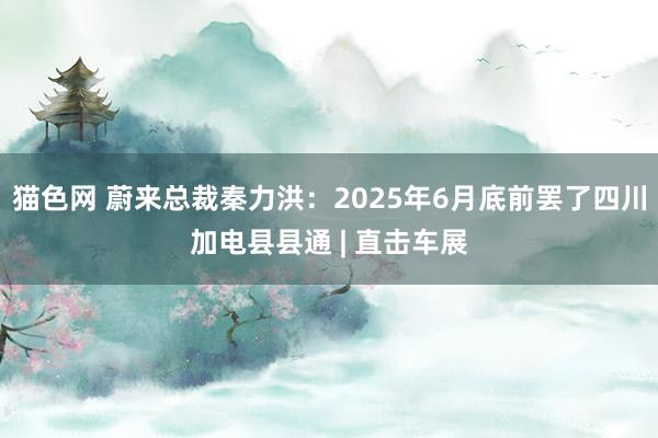 猫色网 蔚来总裁秦力洪：2025年6月底前罢了四川加电县县通 | 直击车展