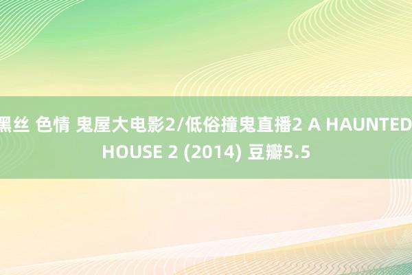 黑丝 色情 鬼屋大电影2/低俗撞鬼直播2 A HAUNTED HOUSE 2 (2014) 豆瓣5.5