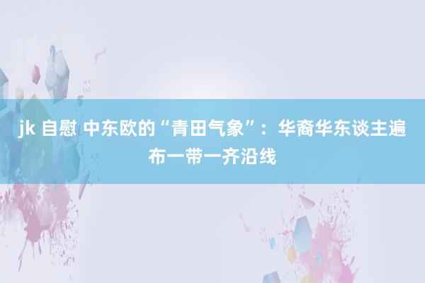 jk 自慰 中东欧的“青田气象”：华裔华东谈主遍布一带一齐沿线