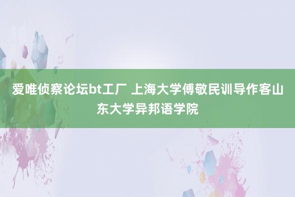 爱唯侦察论坛bt工厂 上海大学傅敬民训导作客山东大学异邦语学院