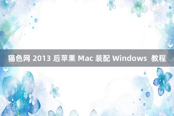 猫色网 2013 后苹果 Mac 装配 Windows  教程