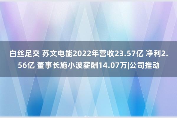 白丝足交 苏文电能2022年营收23.57亿 净利2.56亿 董事长施小波薪酬14.07万|公司推动