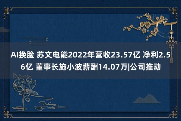 AI换脸 苏文电能2022年营收23.57亿 净利2.56亿 董事长施小波薪酬14.07万|公司推动