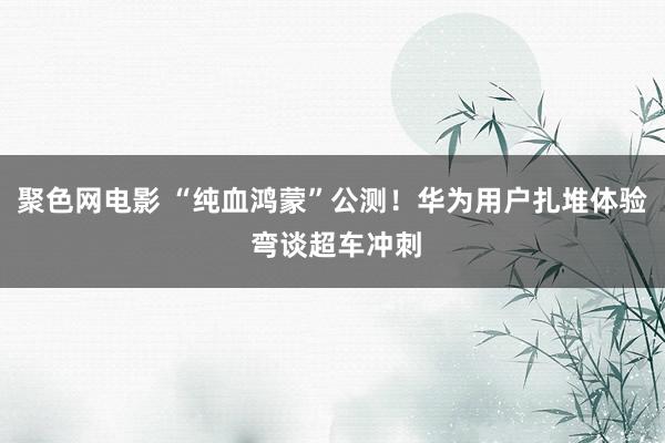 聚色网电影 “纯血鸿蒙”公测！华为用户扎堆体验 弯谈超车冲刺