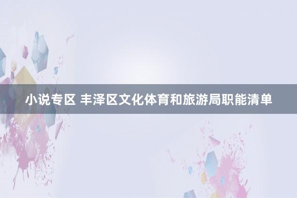 小说专区 丰泽区文化体育和旅游局职能清单