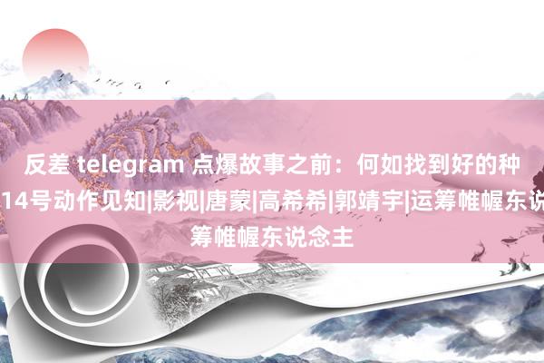 反差 telegram 点爆故事之前：何如找到好的种子？|14号动作见知|影视|唐蒙|高希希|郭靖宇|运筹帷幄东说念主