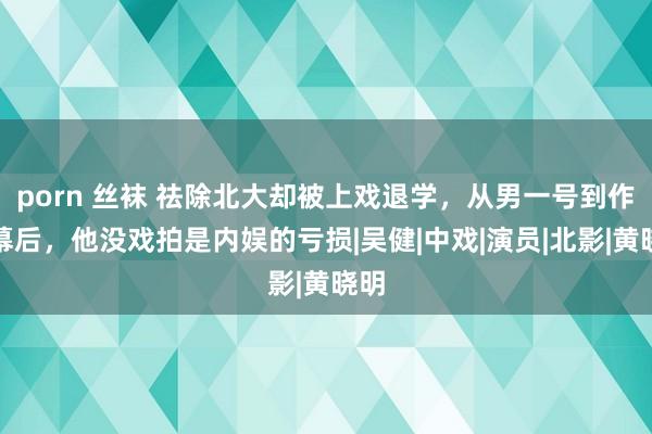 porn 丝袜 祛除北大却被上戏退学，从男一号到作念幕后，他没戏拍是内娱的亏损|吴健|中戏|演员|北影|黄晓明