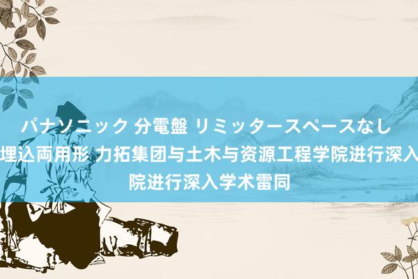 パナソニック 分電盤 リミッタースペースなし 露出・半埋込両用形 力拓集团与土木与资源工程学院进行深入学术雷同