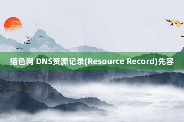 猫色网 DNS资源记录(Resource Record)先容