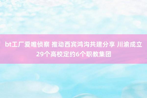 bt工厂爱唯侦察 推动西宾鸿沟共建分享 川渝成立29个高校定约6个职教集团