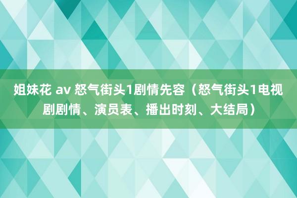 姐妹花 av 怒气街头1剧情先容（怒气街头1电视剧剧情、演员表、播出时刻、大结局）